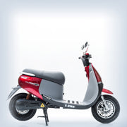 Gogo Sport Red 50/58P